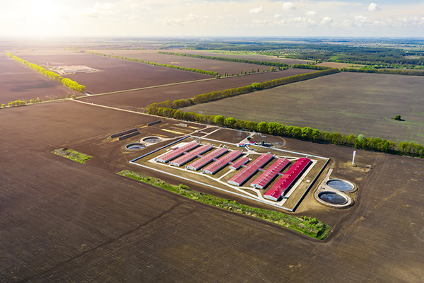 Biomass Farm