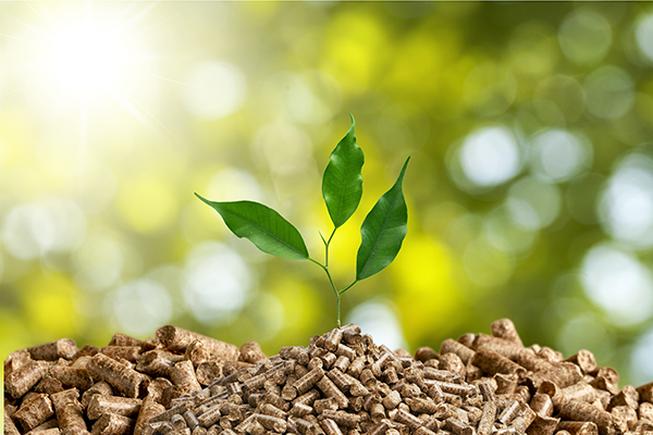 Biomass Pellets