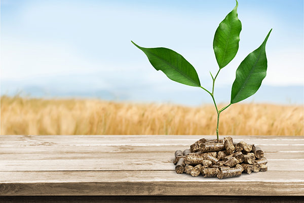 Bioenergy pellets
